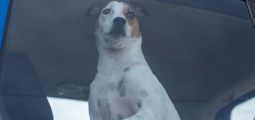 Car Lockout Solutions in Milpitas, California